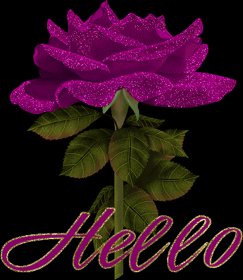 1prpRoseHello.gif